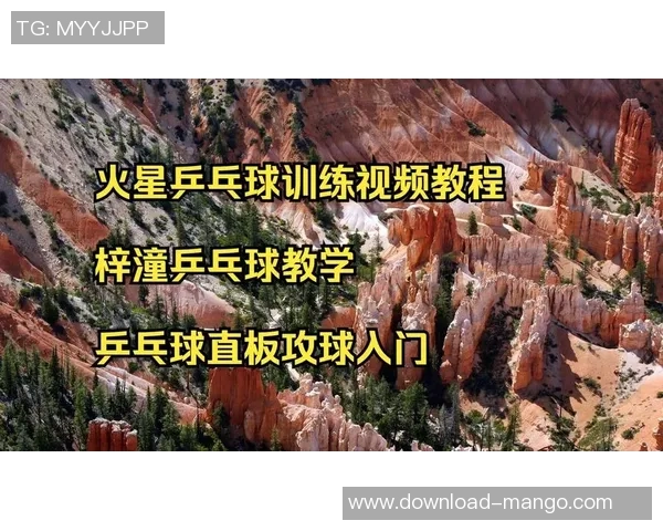 科学乒乓球训练方法探讨与配合技巧提升全方位指南