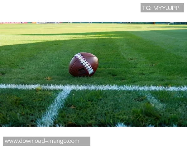 足球叙述：从绿茵场上的激情到球迷心中的梦想与信仰